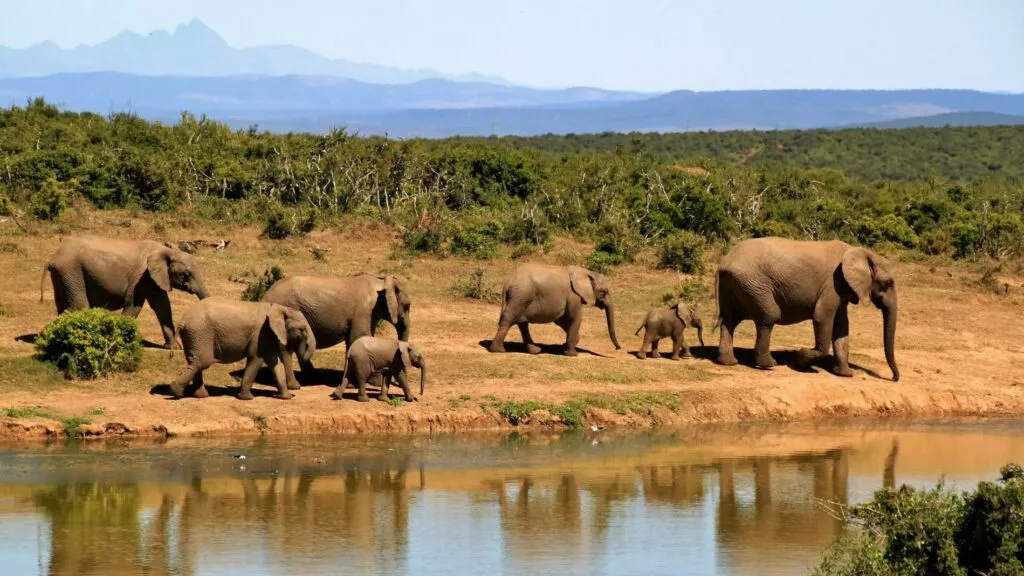 Assicurazione viaggio Africa